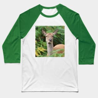 Red Deer Baseball T-Shirt